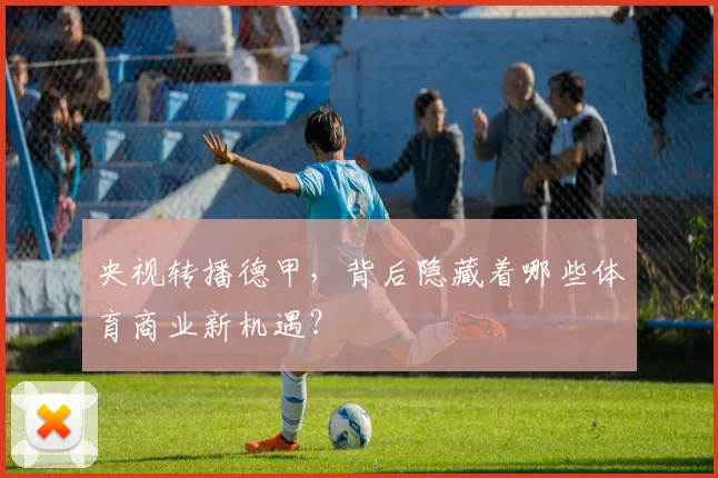 央视转播德甲,背后隐藏着哪些体育商业新机遇?