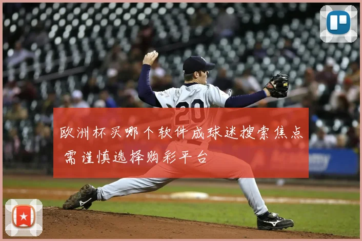 欧洲杯买哪个软件成球迷搜索焦点 需谨慎选择购彩平台