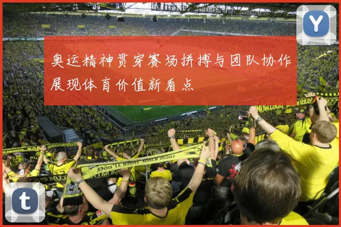 奥运精神贯穿赛场拼搏与团队协作展现体育价值新看点