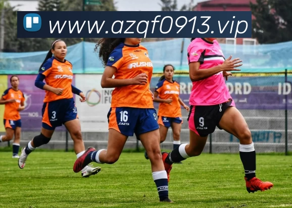 kaiyun体育在线登陆入口(China)官方网站平台生态图