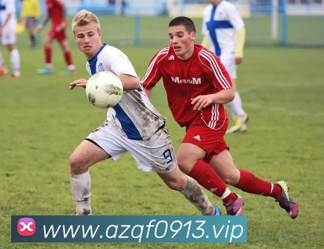 kaiyun体育在线登陆入口(China)官方网站APP 封面图